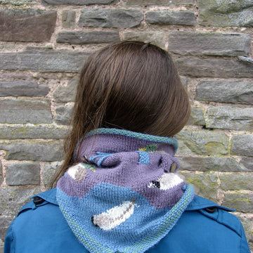 Mallards convertible cowl