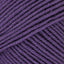 Plum (17)