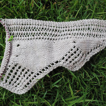 Crocodilian Shawlette