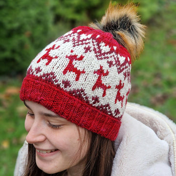 Family Christmas Hat
