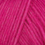 Hot Punk Pink