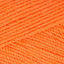 Sorbet (3102)