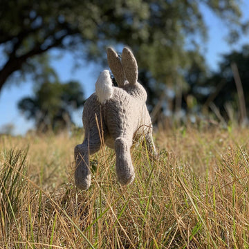 McGregor's Rabbit