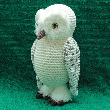 Gwenn the Snowy Owl
