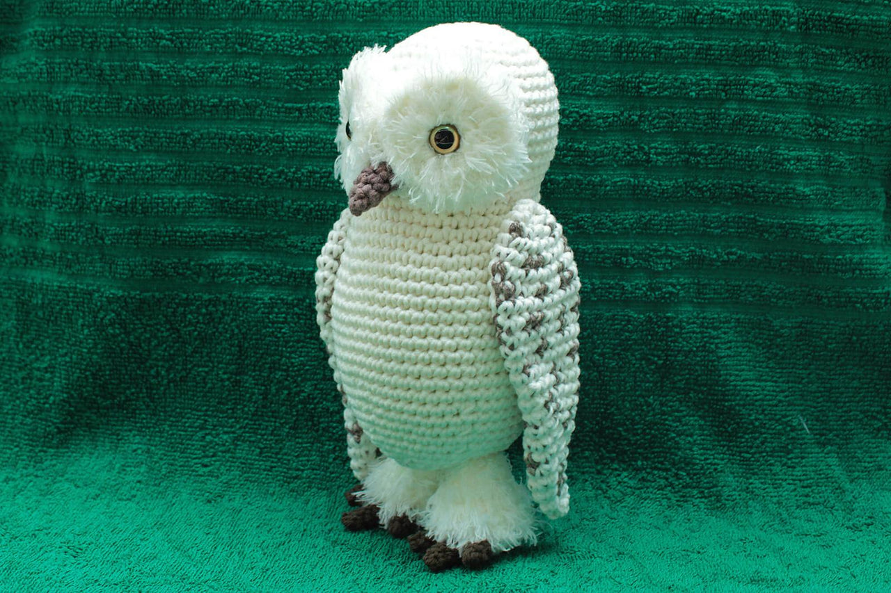 Gwenn the Snowy Owl