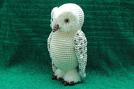 Gwenn the Snowy Owl