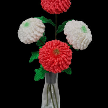Ping Pong Chrysanthemum flowers