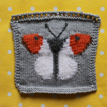 British Butterflies Intarsia Squares