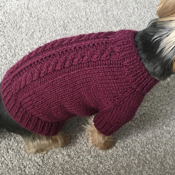 Plum Dog Sweater