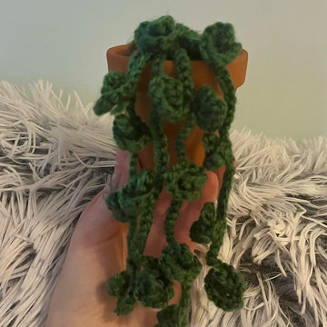 Trail of buds hanging plant