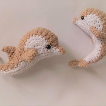 Dolphin
