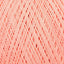 Salmon (22)