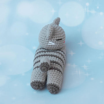 Sleeping kitten