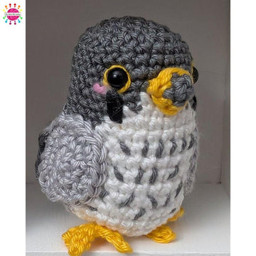 Pocket Birds of Prey