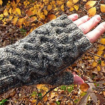Wiggle Mitt