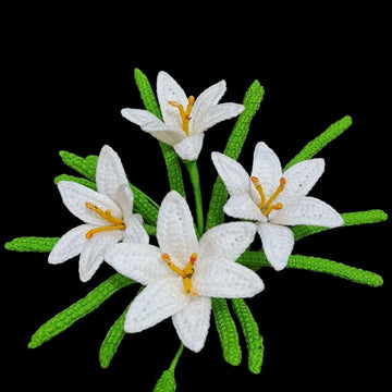 Rain Lily flower