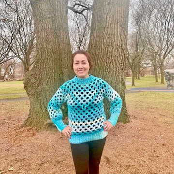Sweet Beehives Sweater Net Pullover