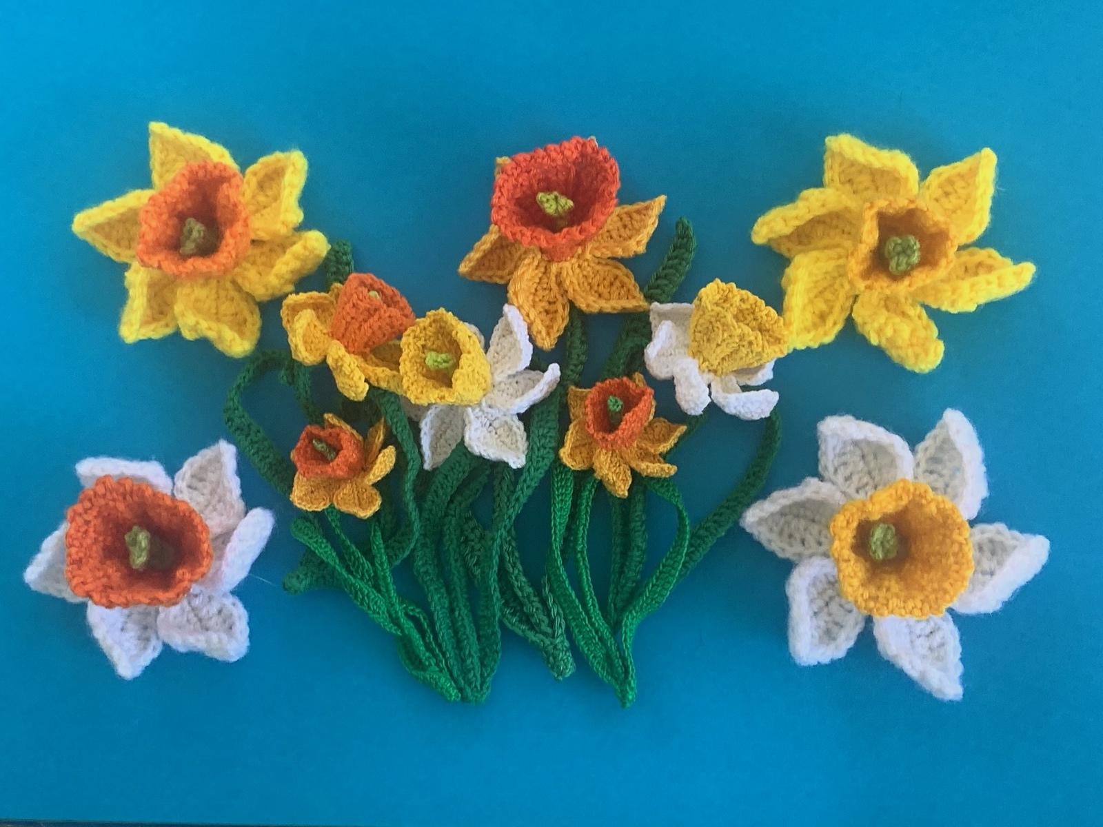 Daffodil