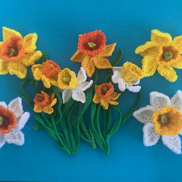 Daffodil