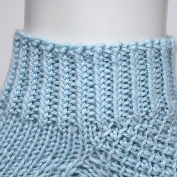 Blue Raspberry Socks - Toe Up (DK)