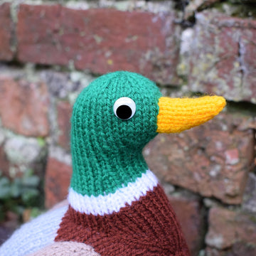 Malcolm the Mallard