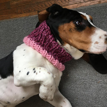 The Cozi Cowl