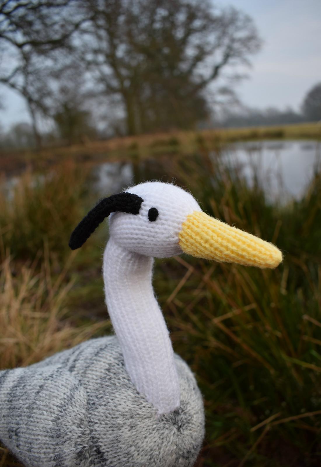 Sonia the Heron