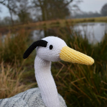 Sonia the Heron