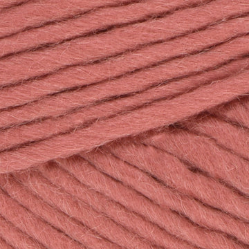 Rose Blush (55)