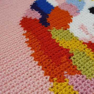 Unicorn Blanket