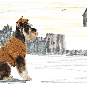 Woolly Woofers  by Debbie Bliss