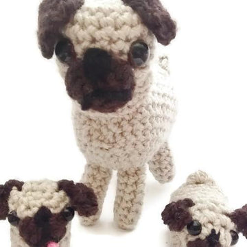Portia Pug