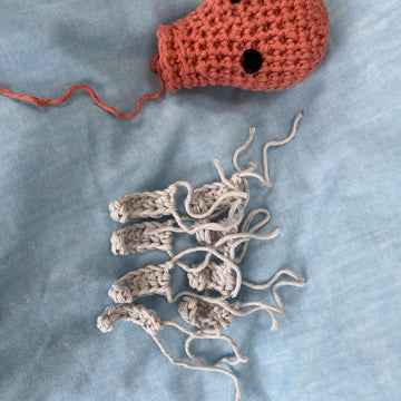 Octopus Crochet Pattern