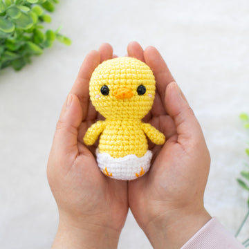 Baby Chicken