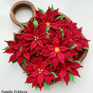 Poinsettia (Christmas Star)