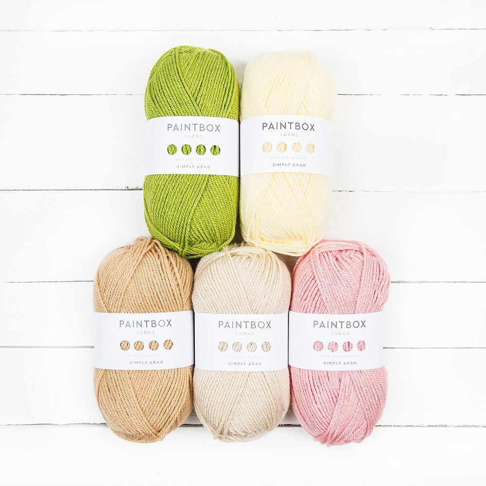 Paintbox Yarns Simply Aran 5 Ball Colour Pack Designer Picks