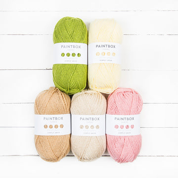 Paintbox Yarns Simply Aran 5 Ball Colour Pack Designer Picks