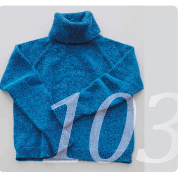 Raglan Pullover top down