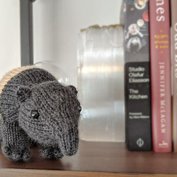 Heywood the Tapir