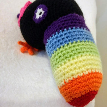 Larry, the Rainbow Toucan