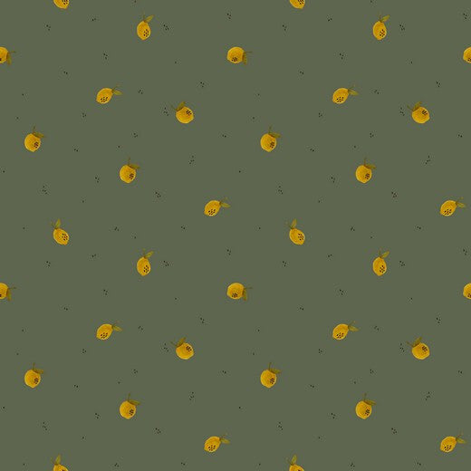 Poppy Fabrics - Digital Fruit Jersey