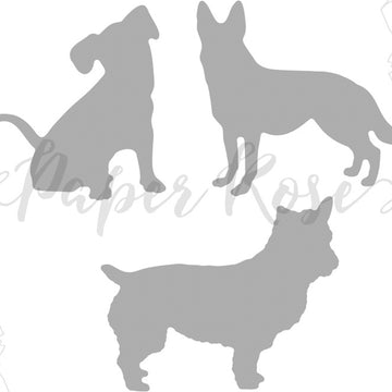 Paper Rose Dies - Three Little Dogs