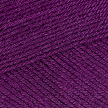 Phlox (00282)