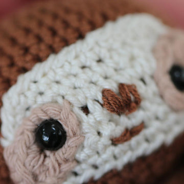 Speedy the Sloth