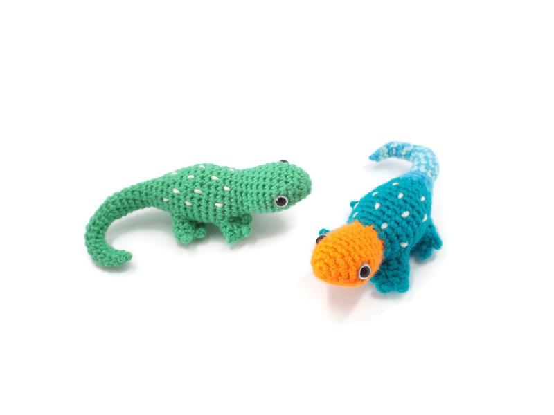 Abayomi the Agama Lizard