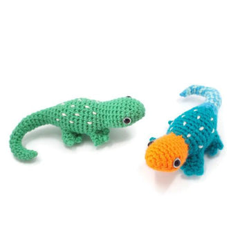 Abayomi the Agama Lizard