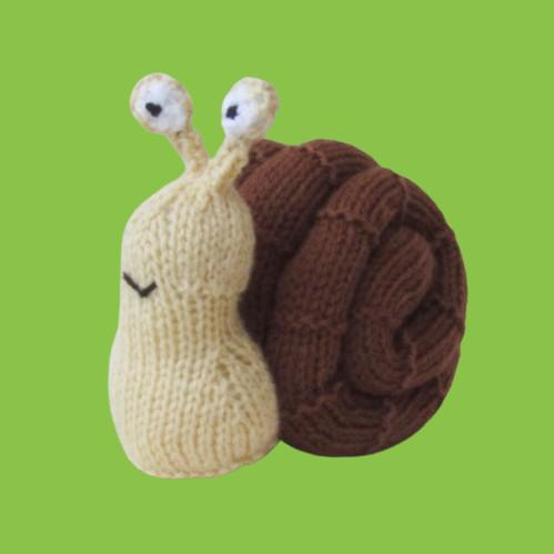 Snail Chocolate Orange Cosy