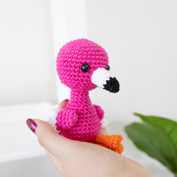 Baby Flamingo