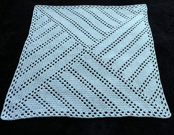 Double Trouble Baby Blanket