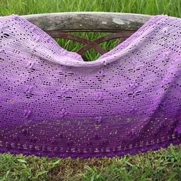 Dragonfly Hide n Seek Shawl